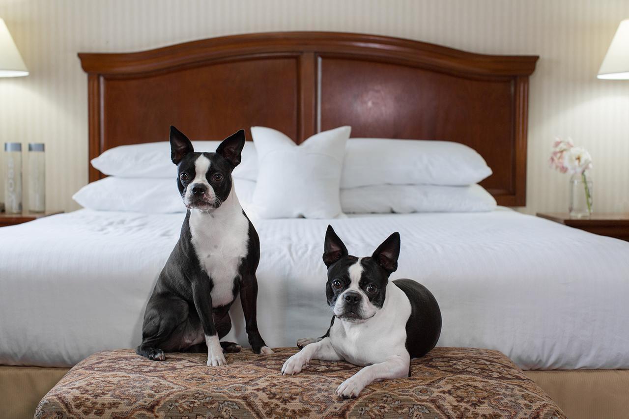 Rogue Regency Inn & Suites Medford Kültér fotó